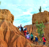 Caminatas en el Desierto