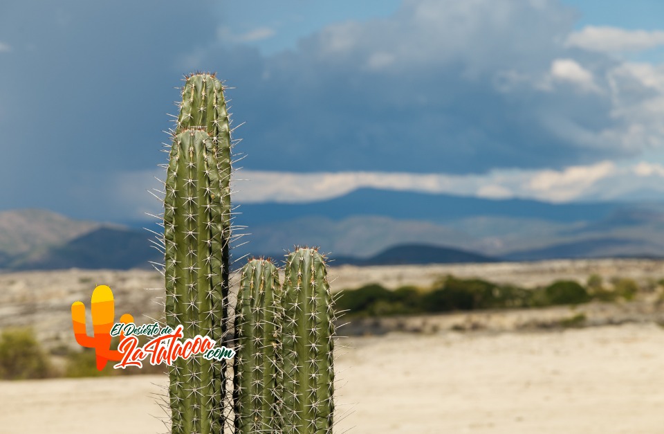 Desierto de la Tataacoa