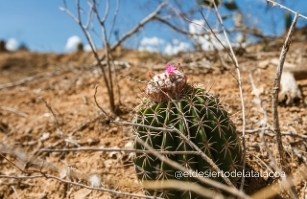 Caminatas en el Desierto