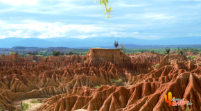 La Tatacoa, de bosque húmedo a bosque seco tropical