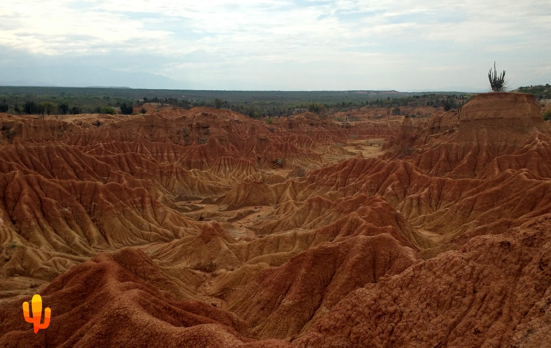 Caminatas en el Desierto Rojo