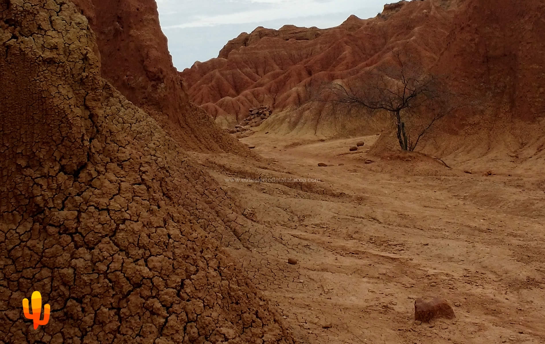 En el Desierto de la Tatacoa la NASA prepara investigación del subsuelo por similitud a Marte