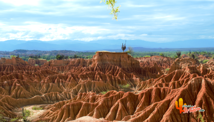 La Tatacoa, de bosque húmedo a bosque seco tropical