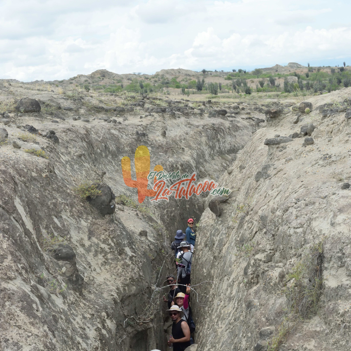 Desierto de La Tatacoa Guía de Viaje 2024