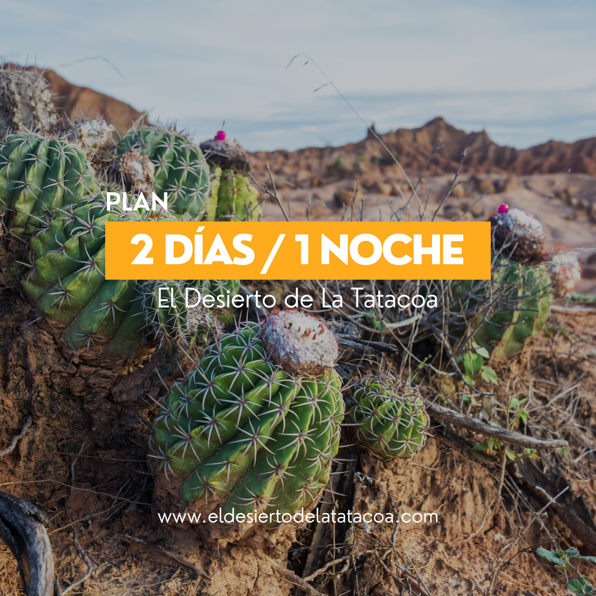 Plan: 2 días, 1 noche en El Desierto de La Tatacoa
