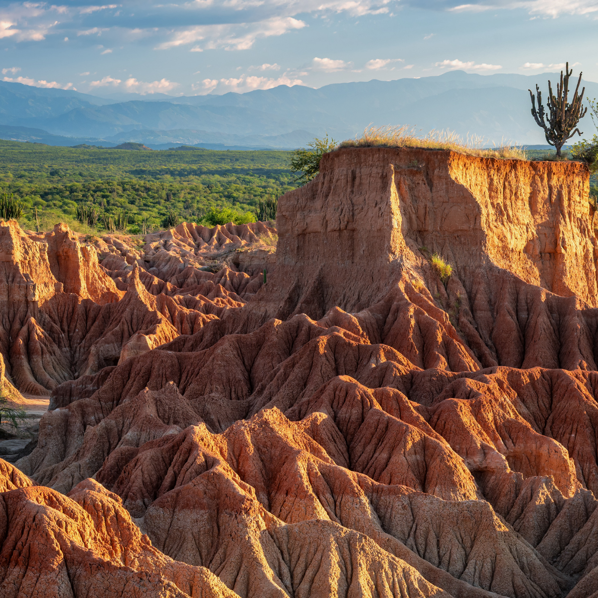 Los primates que habitaron el Desierto de la Tatacoa hace 13 millones de años