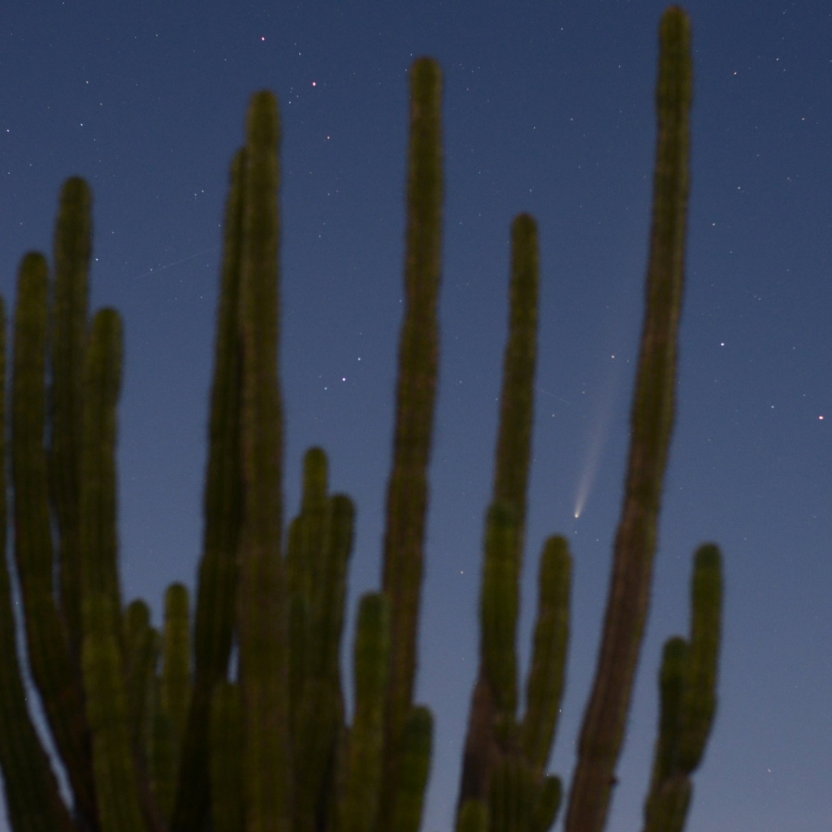 Calendario Astronómico 2026 en Colombia: eclipses, lluvias de meteoros y eventos visibles desde la Tatacoa
